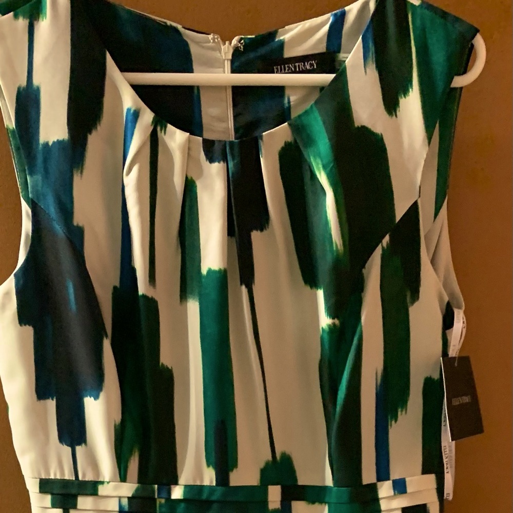 Ellen Tracy dress in perfect fall colors!